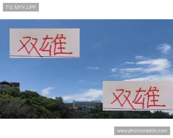 尊龙新版手机app提供个性化定制服务,满足不同用户的多样需求 尊龙新版手机app提供个性化定制服务,满足不同用户的多样需求