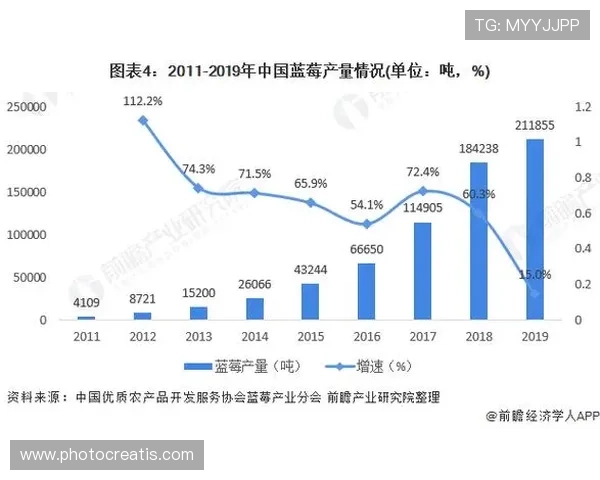 尊龙集团在国际市场中的发展战略和未来方向分析