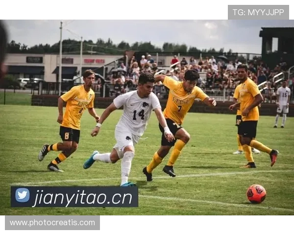 尊龙凯时登陆：开启尊贵体验的最佳平台推荐