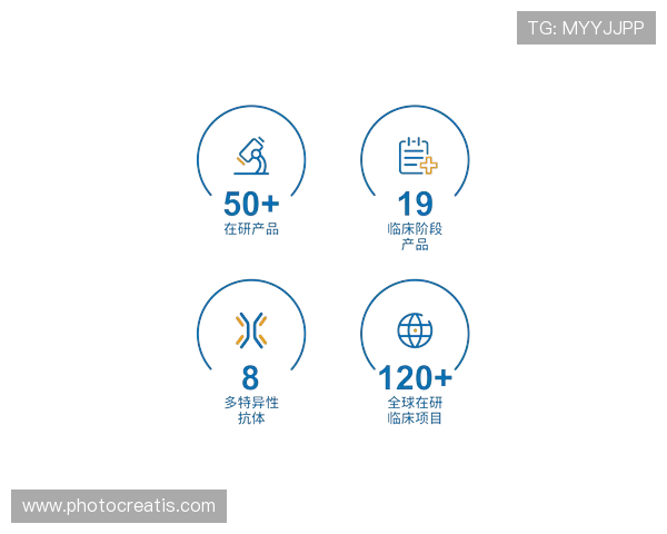 尊龙z6官网网页版最新登录入口全面介绍与使用指南
